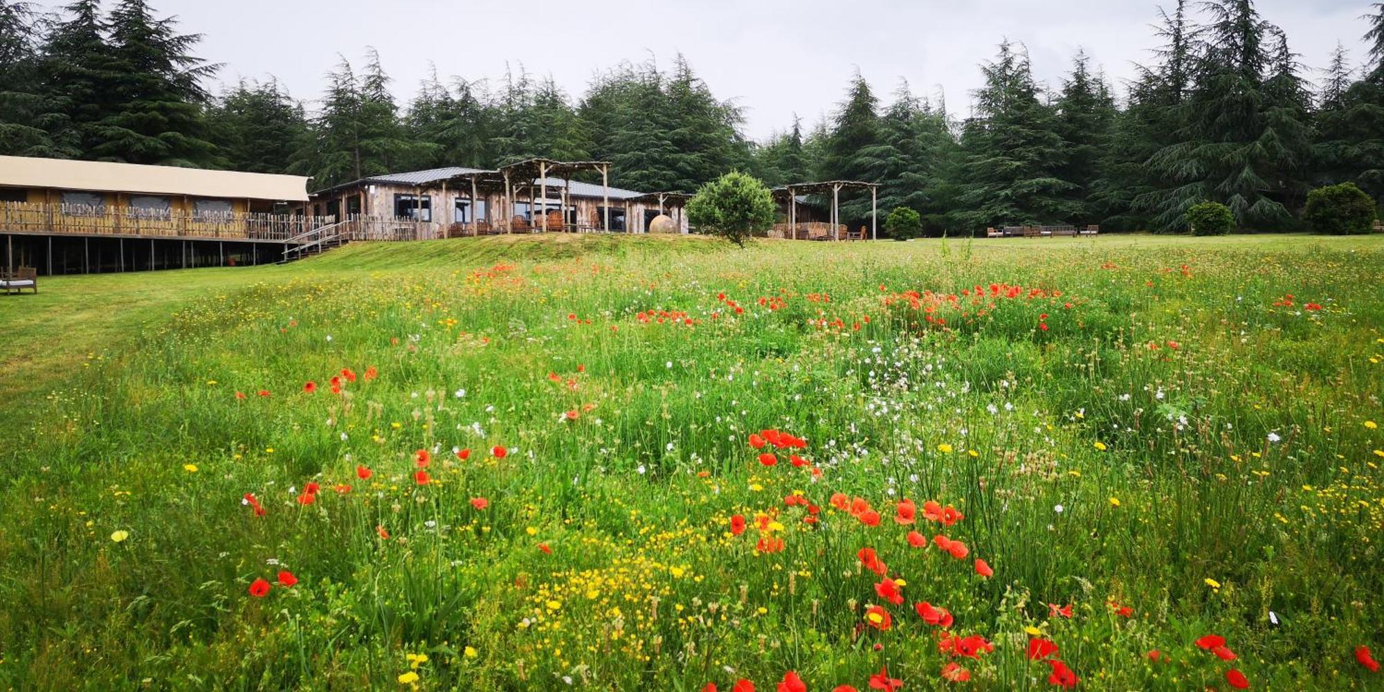 Domaine De La Vitarelle Glamping Villaniere Екстериор снимка