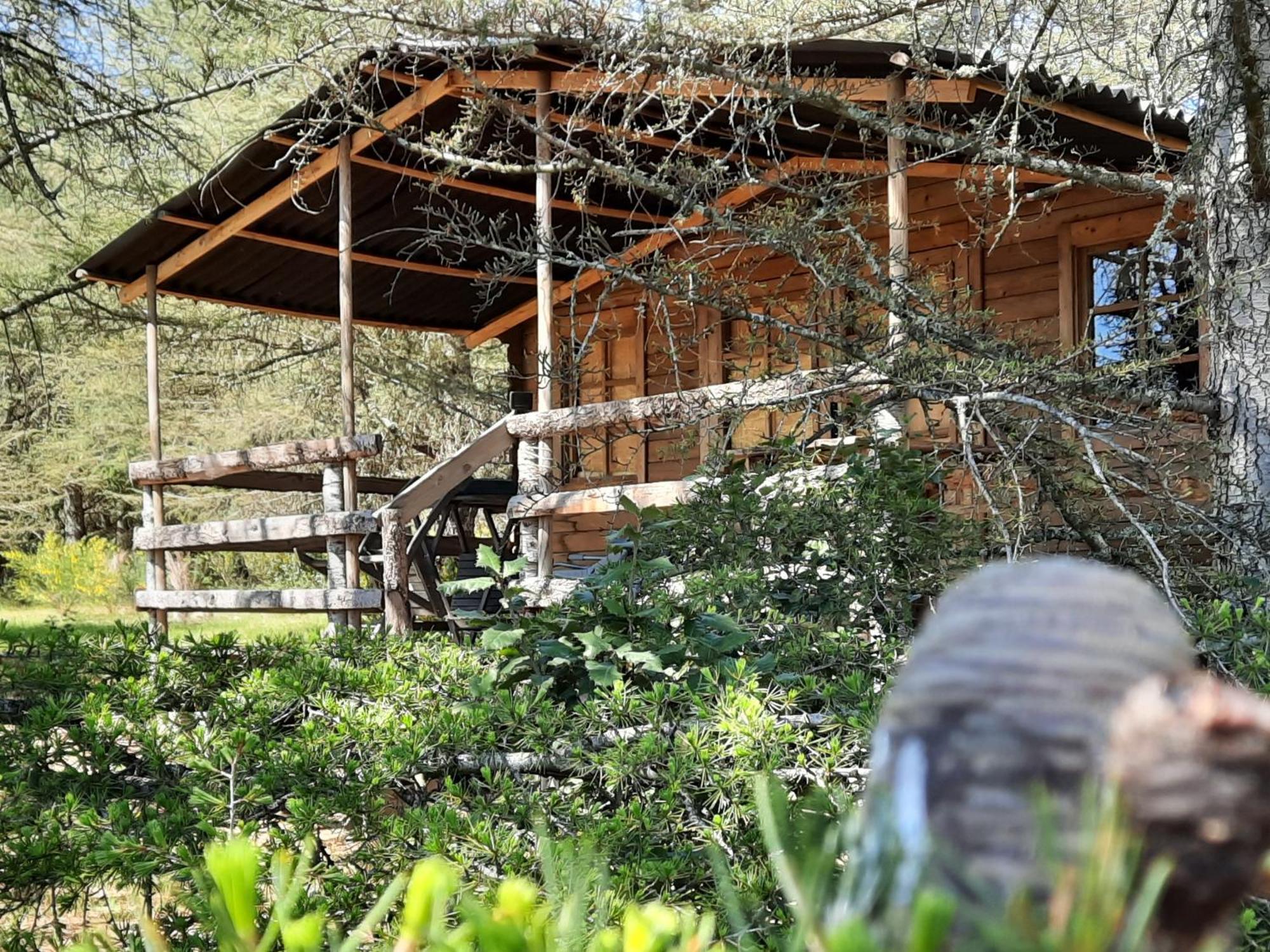 Domaine De La Vitarelle Glamping Villaniere Екстериор снимка
