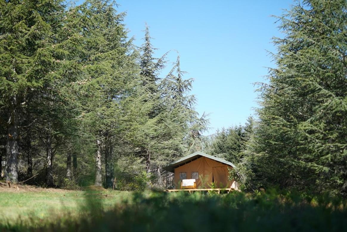 Domaine De La Vitarelle Glamping Villaniere Екстериор снимка