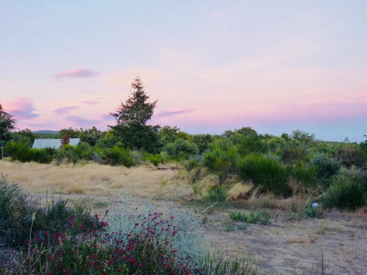 Domaine De La Vitarelle Glamping Villaniere Екстериор снимка
